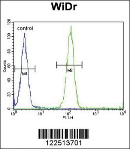 Anti-ASIC2 Rabbit Polyclonal Antibody