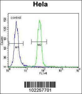 Anti-PSEN1 Rabbit Polyclonal Antibody (HRP (Horseradish Peroxidase))