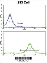 Anti-MOBP Rabbit Polyclonal Antibody