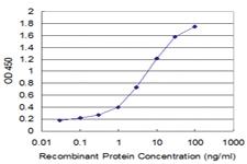 Anti-SMAD7 Mouse Monoclonal Antibody [clone: 3E9]