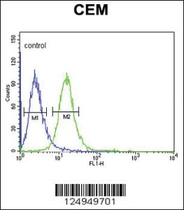 Anti-ZNF160 Rabbit Polyclonal Antibody