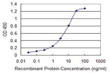 Anti-SPN Mouse Monoclonal Antibody [clone: 3G8]