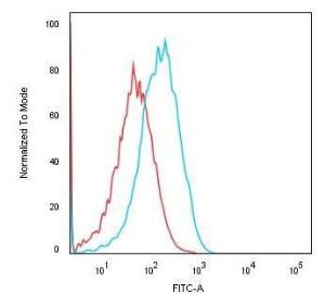 Flow cytometric analysis of human HEK293 cells using Anti-Cadherin 16 Antibody [CDH16/1071] followed by Goat Anti-Mouse IgG (CFand#174; 488) (Blue). Isotype Control (Red)