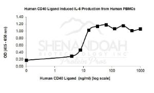 Human recombinant CD40-ligand (from <i>E. coli</i>)