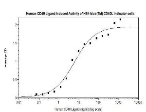 Human recombinant CD40-ligand (from <i>E. coli</i>)