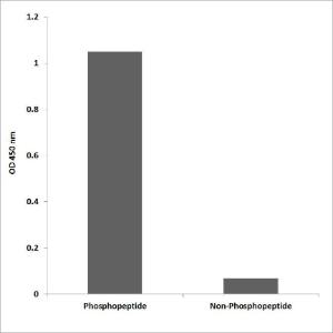 ELISA for immunogen phosphopeptide (left) and non-phosphopeptide (right) using Anti-CD28 (phospho Tyr218) Antibody