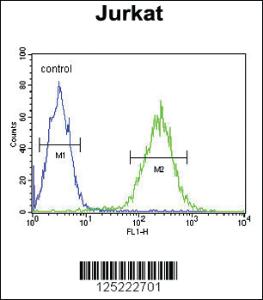 Anti-RPR1B Rabbit Polyclonal Antibody