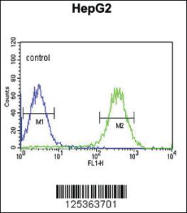 Anti-ARSI Rabbit Polyclonal Antibody