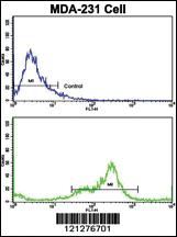 Anti-VCP Rabbit Polyclonal Antibody