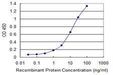 Anti-STX18 Mouse Monoclonal Antibody [clone: 200000]