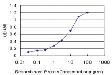 Anti-SPP1 Mouse Monoclonal Antibody [clone: 4B2]