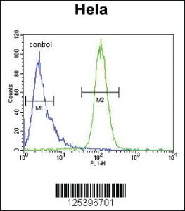 Anti-INTS10 Rabbit Polyclonal Antibody