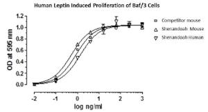 Human recombinant Leptin (from <i>E. coli</i>)