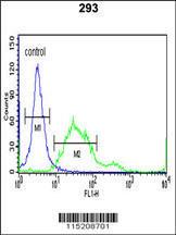 Anti-PROX1 Rabbit Polyclonal Antibody (AP (Alkaline Phosphatase))