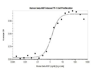 Human Recombinant NGF-beta (from <i>E. coli</i>)