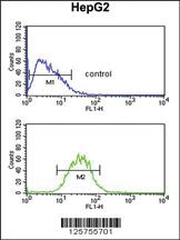 Anti-SEC61B Rabbit Polyclonal Antibody