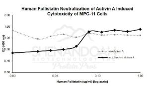 Human recombinant Follistatin (from <i>E. coli</i>)