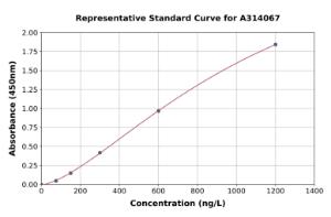 Representative standard curve for human NKp30 ELISA kit (A314067)