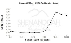 Human recombinant VEGF-165 (from <i>E. coli</i>)