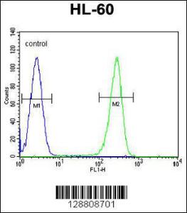 Anti-OR2W3 Rabbit Polyclonal Antibody (PE (Phycoerythrin))