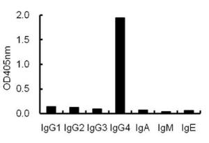 ELISA using plates coated with human antibodies with various isotypes