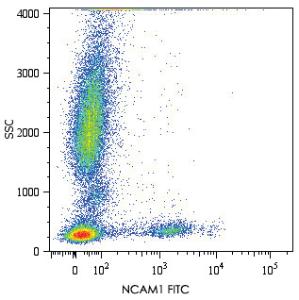 Anti-NCAM1 Mouse Monoclonal Antibody (FITC (Fluorescein isothiocyanate)) [clone: MEM-188]