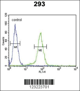 Anti-CLDN8 Rabbit Polyclonal Antibody