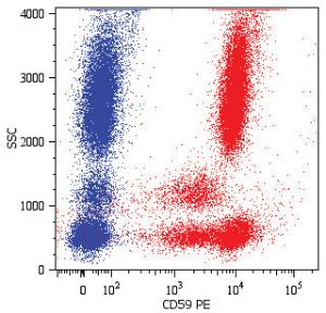 Anti-CD59 Monoclonal Antibody (PE (Phycoerythrin)) [clone: MEM-43]