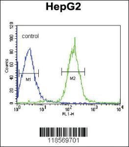 Anti-PLA2G6 Rabbit Polyclonal Antibody [clone: 422CT4.6.4]