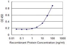 Anti-MAP3K19 Mouse Monoclonal Antibody [clone: 2A4]