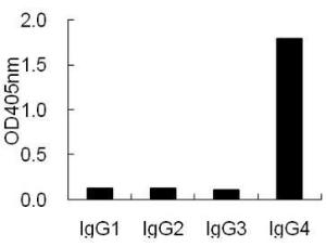 ELISA using plates coated with human IgG antibodies