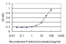 Anti-SPP1 Mouse Monoclonal Antibody [clone: 4H7]