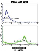 Anti-C6 Rabbit Polyclonal Antibody