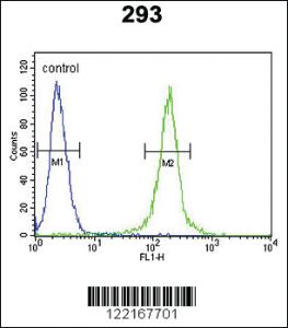 Anti-AMH Rabbit Polyclonal Antibody