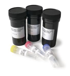 CyDye™ DIGE Fluor Labeling Kit for Scarce Samples