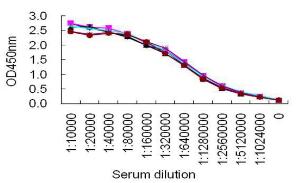 Sandwich ELISA for normal human serum samples using KT131 coated plate and HRP conjugated KT132.