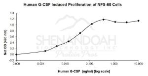 Human Recombinant G-CSF (from <i>E. coli</i>)