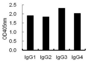 ELISA using plates coated with human IgG