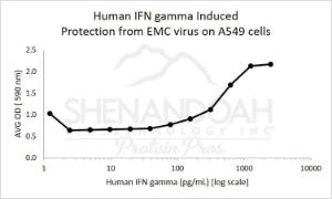 Human recombinant IFN-gamma (from <i>E. coli</i>)