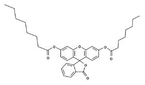 Fluorescein dicapryl 22019 100 mg