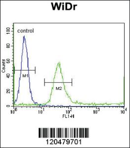 Anti-IGFBP4 Rabbit Polyclonal Antibody