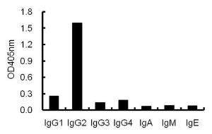 ELISA using plates coated with human antibodies with various isotypes