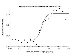 Human recombinant IL-11 (from <i>E. coli</i>)