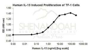 Human recombinant IL-13 (from <i>E. coli</i>)