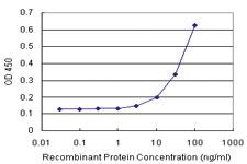 Anti-DNALI1 Polyclonal Antibody Pair