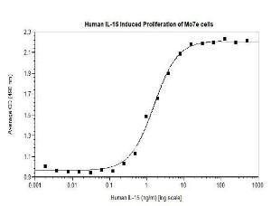 Human recombinant IL-15 (from <i>E. coli</i>)