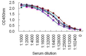 Sandwich ELISA for normal human serum samples