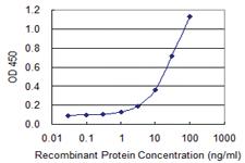 Anti-NAPSA Mouse Monoclonal Antibody [clone: 2B1]