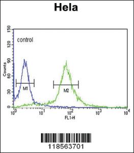 Anti-PI4KB Rabbit Polyclonal Antibody