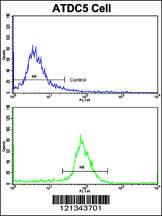 Anti-Proline Dehydrogenase Rabbit Polyclonal Antibody (HRP (Horseradish Peroxidase))